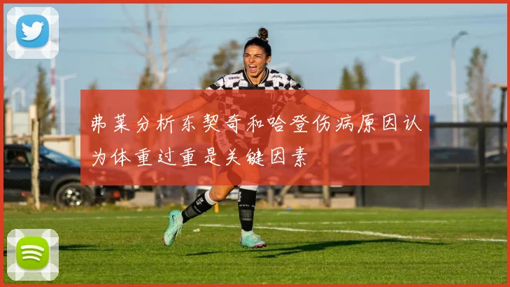 弗莱分析东契奇和哈登伤病原因认为体重过重是关键因素