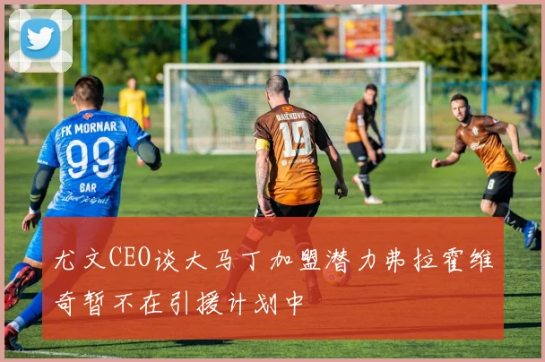 尤文CEO谈大马丁加盟潜力弗拉霍维奇暂不在引援计划中